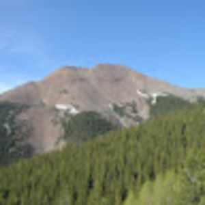 Meet your Posher, Colin